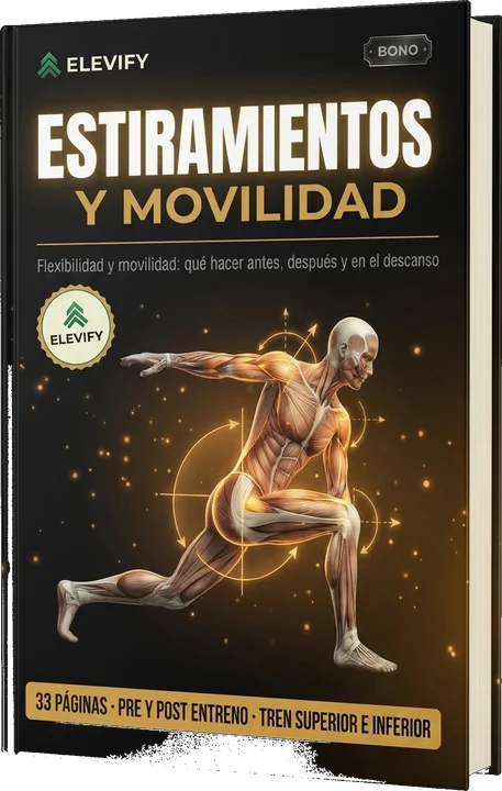 Guía de Estiramientos y Movilidad